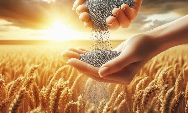 La minaccia silenziosa allo stretto di Hormuz che mette a rischio il pane degli italiani