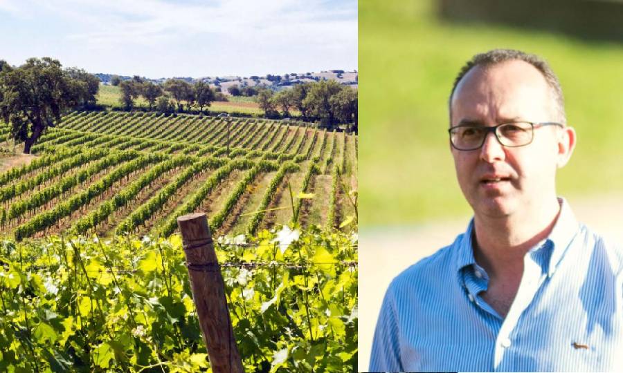 La qualità dei Vignaioli del Morellino di Scansano e il successo in Maremma - Vinitor Sapiens