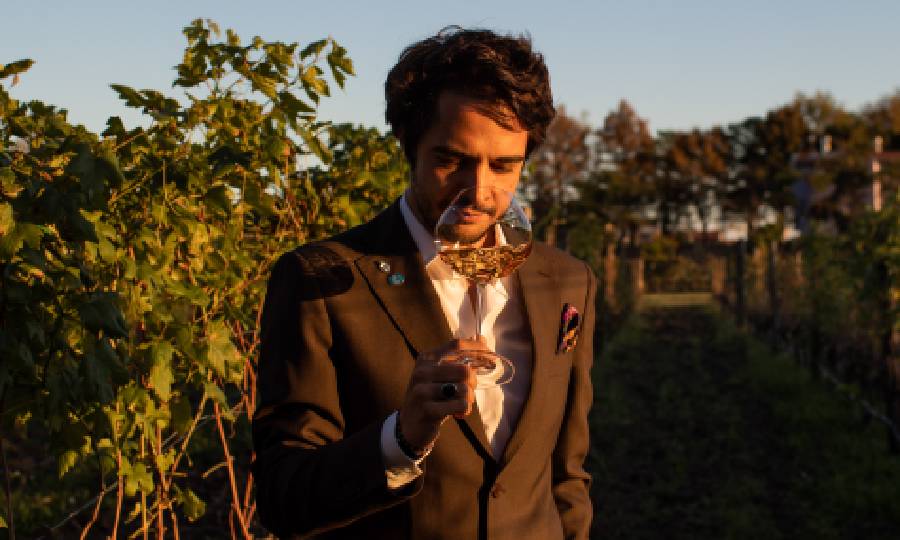 Storia di Venissa e del vino Dorona - Vinicitor Sapiens