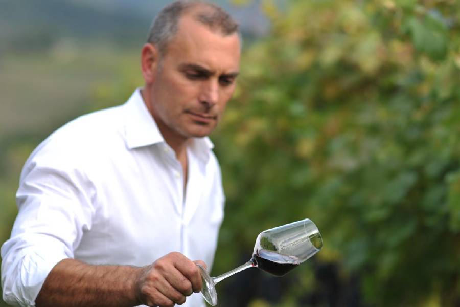 La rinascita della Tintilia del Molise attraverso il sogno di Claudio Cipressi - Vinicitor Sapiens